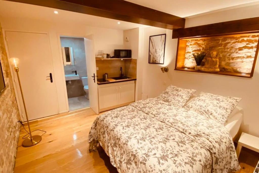 Studio Renove Avec Patio, Coeur Du Centre Ville Besançon Eksteriør billede