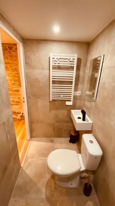 Studio Renove Avec Patio, Coeur Du Centre Ville Besançon Eksteriør billede