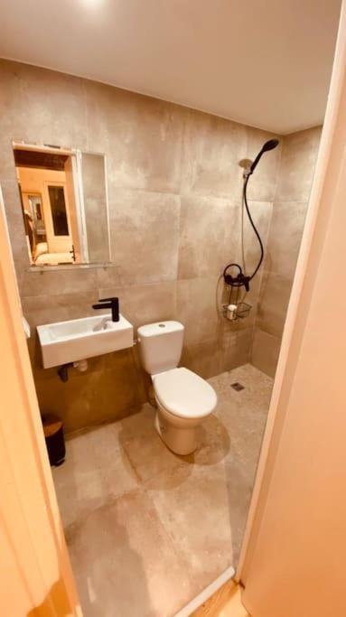 Studio Renove Avec Patio, Coeur Du Centre Ville Besançon Eksteriør billede